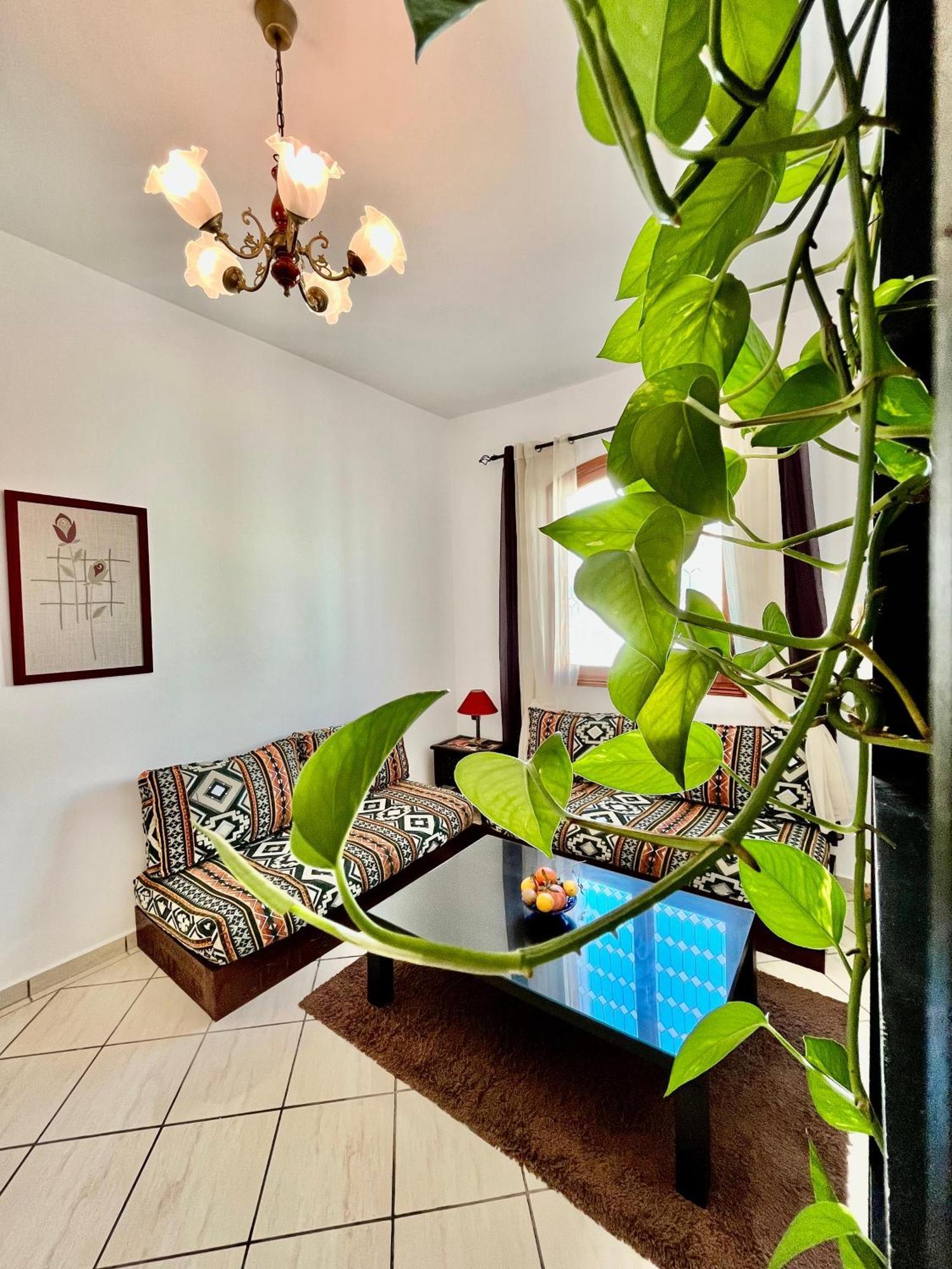 Ambre Appartement 索维拉 外观 照片